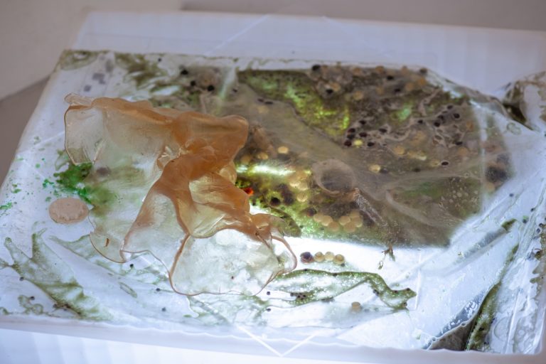 Green and pink translucent materials lie on top of an illuminated surface. Some are crumpled sheets, others like beads.