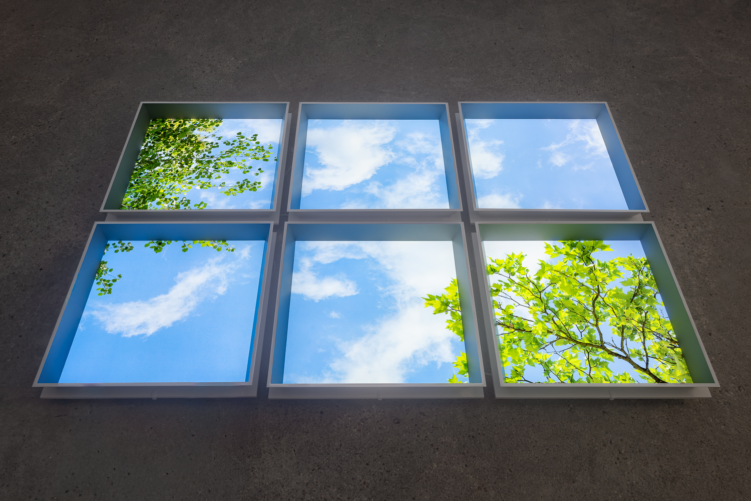 an art installation installed on the floor, made up of six square backlit images of a sunny sky intercut with leafy, green trees.
